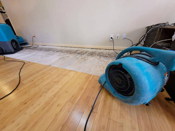 Professional Ceiling Water Damage Repair technician working in Staley, NC