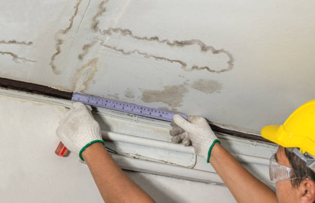 Affordable Ceiling Water Damage Repair solutions in Staley, NC